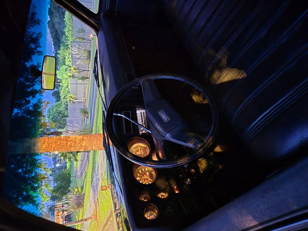 Foto 3 - Chevrolet C10 4.3