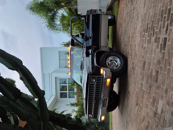 Foto 1 - Chevrolet C10 4.3