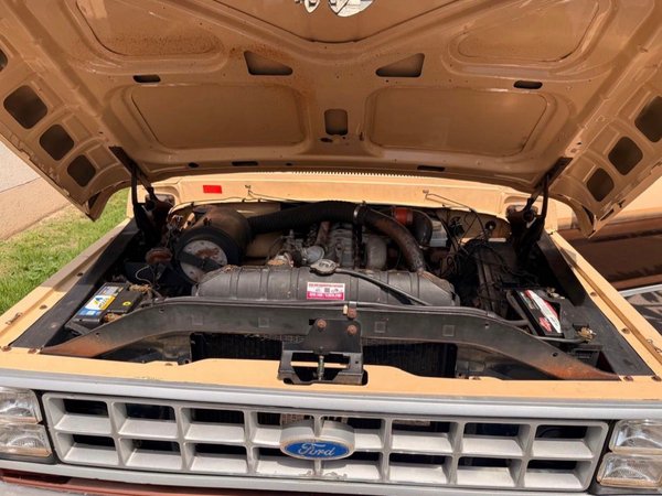 Foto 7 - Ford F1000 Super Série 3.9 Turbo Diesel 4x2 C.S