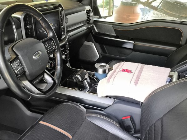 Foto 4 - Ford F150 Platinum 5.0 V8 Gasolina FX4