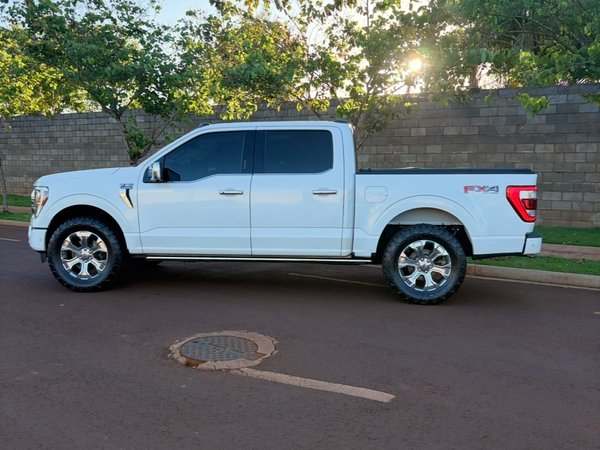 Foto 3 - Ford F150 Platinum 5.0 V8 Gasolina FX4