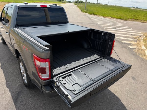 Foto 3 - Ford F150 Platinum 5.0 V8 Gasolina FX4