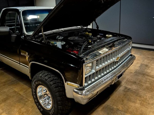 Foto 6 - Chevrolet C10 4.3